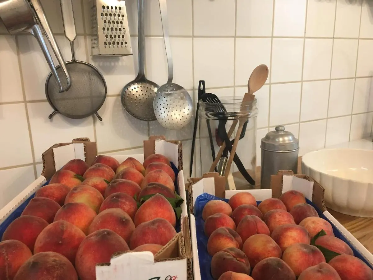 B&B Ca' Du Brigidin Tovo San Giacomo Italy