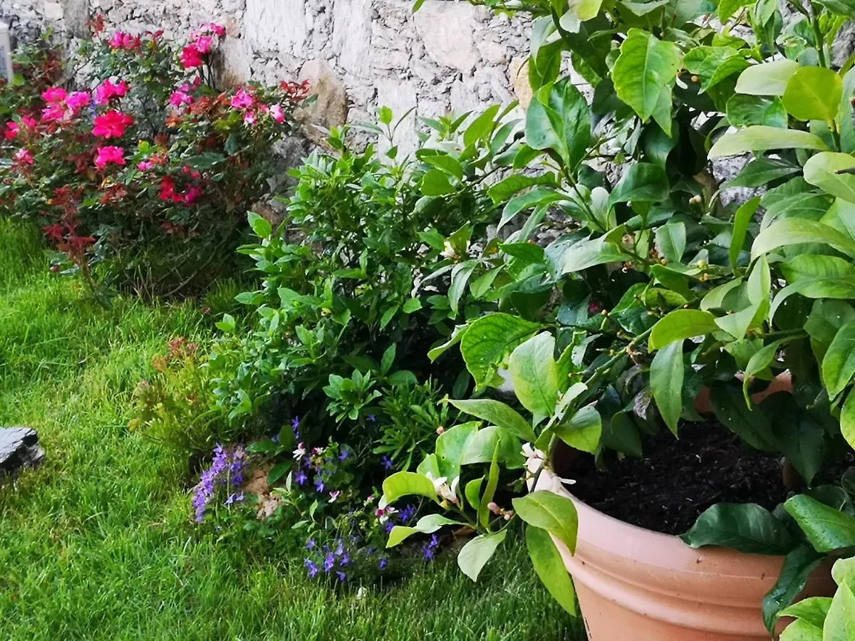 B&B Ca' Du Brigidin Tovo San Giacomo Bed & Breakfast