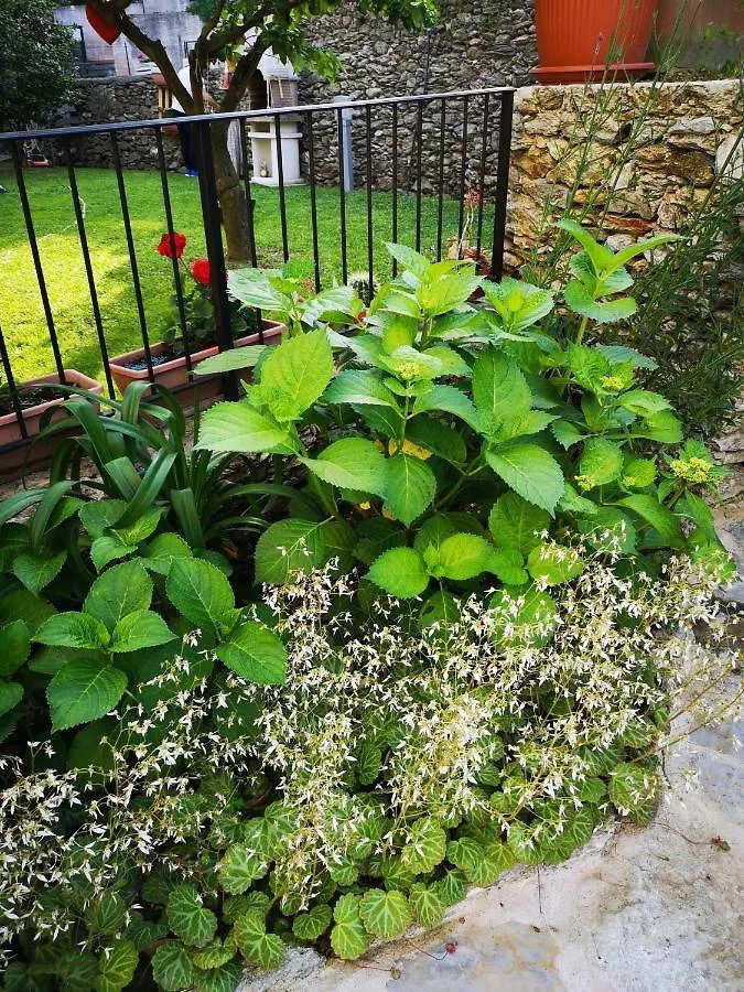 Bed & Breakfast B&B Ca' Du Brigidin Tovo San Giacomo