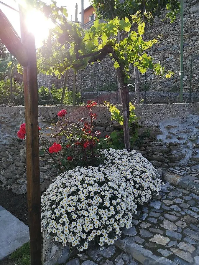 B&B Ca' Du Brigidin Tovo San Giacomo 3*,  Italy