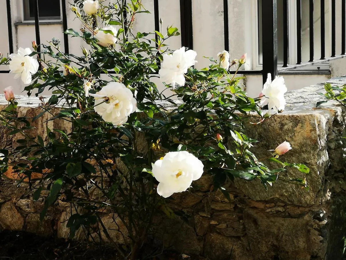 Bed & Breakfast B&B Ca' Du Brigidin Tovo San Giacomo