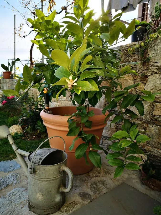 B&B Ca' Du Brigidin Tovo San Giacomo Bed & Breakfast