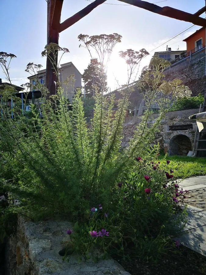 *** 住宿加早餐酒店 B&B Ca' Du Brigidin Tovo San Giacomo 意大利