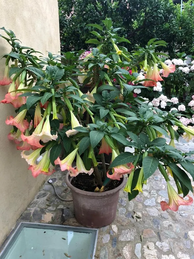 B&B Ca' Du Brigidin Tovo San Giacomo 3*,