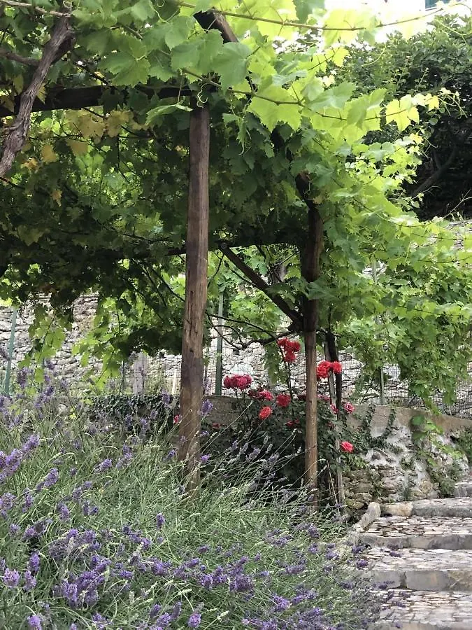 B&B Ca' Du Brigidin Tovo San Giacomo Bed & Breakfast
